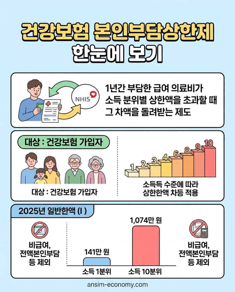 건강보험 본인부담상한제 제도 및 조건 요약 인포그래픽